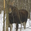  , , 36  -  20  2010    .