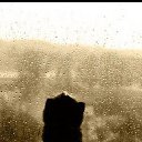 ���� �����, ��������, 34 ���� - ��������� 22 �������� 2012 � ������ �������