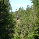  ( ), , 65  -  9  2010    2