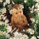 ���� �������, �������, 43 ���� - ��������� 29 ����� 2012