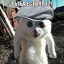 ���� ������, �����������, 53 ���� - ��������� 11 ����� 2013 � ������ ���� ����������