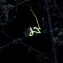 ���� ����, ������, 25 ��� - ��������� 22 ���� 2010 � ������ �������