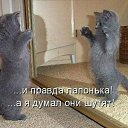 ���� �������, ���������� - ��������� 2 ������� 2011