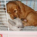 ��� ������� �� ������� ���� ����������