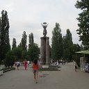  , , 40  -  22  2013    ,,  2013