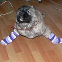  Lusi, , 44  -  1  2010   