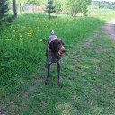  , , 36  -  31  2010    2010