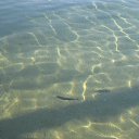 ���� �����, �����-��������� - ��������� 7 ������ 2013 � ������ ���� ����������