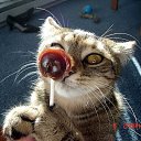 ���� �����, ������, 23 ���� - ��������� 17 ������� 2010 � ������ ������