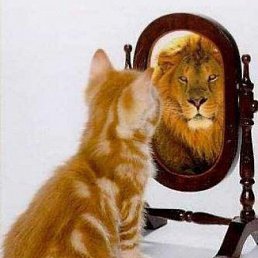 ���� �������, ���, 39 ��� - ��������� 23 ������� 2013