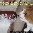 ���� ��������, ��������������, 57 ��� - ��������� 12 ������� 2009 � ������ �����������