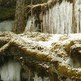 ���� ����, �����-���������, 68 ��� - ��������� 5 ������ 2010