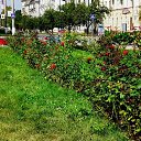  ,  -  18  2011          .