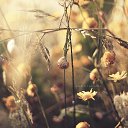  ~_o~, , 62  -  14  2012   