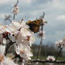 ���� Leonid, ��������, 45 ��� - ��������� 10 ������� 2012 � ������ ���� ����������