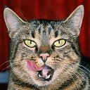 ���� ����, �����, 29 ��� - ��������� 10 ����� 2013 � ������ ���� ����������