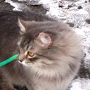 ���� Byaka, ���������, 41 ��� - ��������� 13 ������ 2010 � ������ ���� ������ ����� ������!!!�