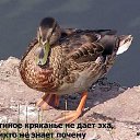���� �������� D* Tuta, ������ - ��������� 19 ������� 2009 � ������ ������� -���� =))))))))�