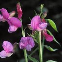 ���� ����. ��������� �� ��!, ������, 72 ���� - ��������� 30 ������ 2011 � ������ ����� � �����