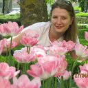 ���� ����, ����������, 46 ��� - ��������� 10 ������� 2012 � ������ ���� ����������