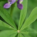 ,     ,
  ,    .   (( !!    !! ))