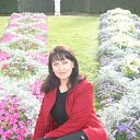 ���� ������, �����-��������� - ��������� 5 ���� 2009