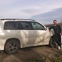 ���� ��������, �����������, 43 ���� - ��������� 16 ������ 2013 � ������ ���