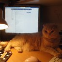 ���� �������, �������, 36 ��� - ��������� 12 ������� 2012