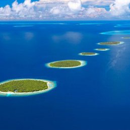 ���� �������, ���������, 51 ��� - ��������� 15 ������ 2010