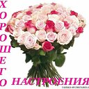 ���� Svetlaych&k(����� ����), ������, 51 ��� - ��������� 7 ���� 2012 � ������ �������