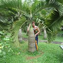 ���������� ������ �� ������� ��������. ������