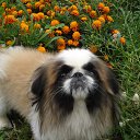 ������ �� ����. �� ������� �������