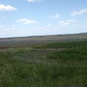 ���� ���� ��, �������, 49 ��� - ��������� 29 ���� 2011 � ������ ���� ���.�