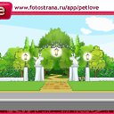  , , 44  -  5  2011   PetLove