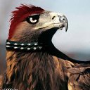 ���� ����, ������, 34 ���� - ��������� 17 ������� 2011