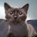 ���� ���, ��������� - ��������� 22 ���� 2010 � ������ ������ ����.�