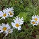 ���� ����, ������������, 48 ��� - ��������� 27 ������ 2010 � ������ �������