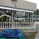 ���� ����, �������, 66 ��� - ��������� 31 ����� 2013 � ������ ���� �����