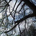 ���� �������, ����, 42 ���� - ��������� 9 ��� 2011 � ������ �������