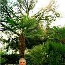 ���� ���������, �����������, 69 ��� - ��������� 2 ��� 2012 � ������ ���� ����������