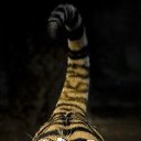 ���� �����, ������, 39 ��� - ��������� 27 ������� 2012 � ������ �������