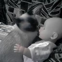 ���� ���@����@, �������, 49 ��� - ��������� 14 ����� 2010 � ������ ���� �����