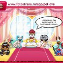 ���� ��������*���*, ������, 41 ��� - ��������� 9 ������� 2011 � ������ �PetLove�