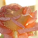 � �������� �������� � �������� vk.com/fotomimi �� ������� �� ��������� ����������