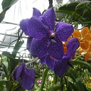 ���� ������, ����������, 55 ��� - ��������� 7 ���� 2011 � ������ �������