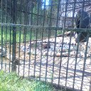  D.s., , 38  -  28  2011    2010, 