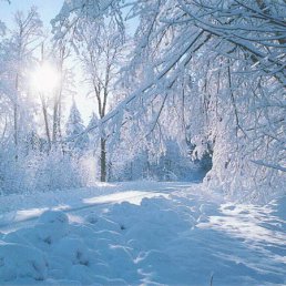 ���� ������, �����-���������, 45 ��� - ��������� 10 �������� 2011