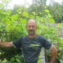 ���� ����, ������, 59 ��� - ��������� 15 ���� 2012 � ������ ���� ����������