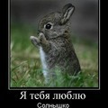 ���� ������, ���������, 60 ��� - ��������� 3 ���� 2012 � ������ ���� ����������