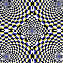 ���� �����, ������, 26 ��� - ��������� 11 �������� 2010 � ������ ������ �������